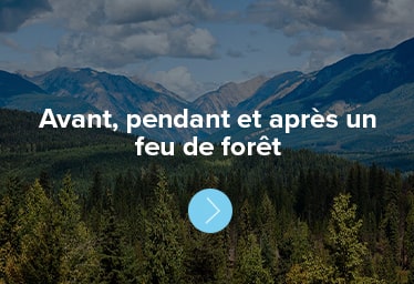 Avant, pendant et après un feu de forêt